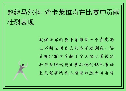 赵继马尔科-查卡莱维奇在比赛中贡献壮烈表现