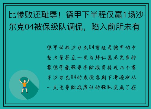 比惨败还耻辱！德甲下半程仅赢1场沙尔克04被保级队调侃，陷入前所未有危机