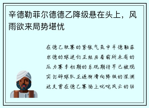 辛德勒菲尔德德乙降级悬在头上，风雨欲来局势堪忧