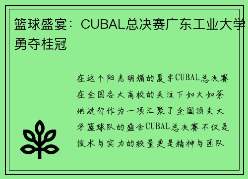 篮球盛宴：CUBAL总决赛广东工业大学勇夺桂冠